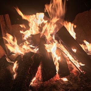 Meet your Posher, Monique